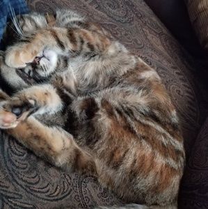 Meet your Posher, Marsha